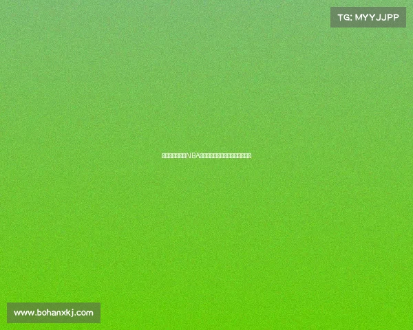 震撼赛季开幕：NBA新星崭露头角，老将依旧闪耀赛场